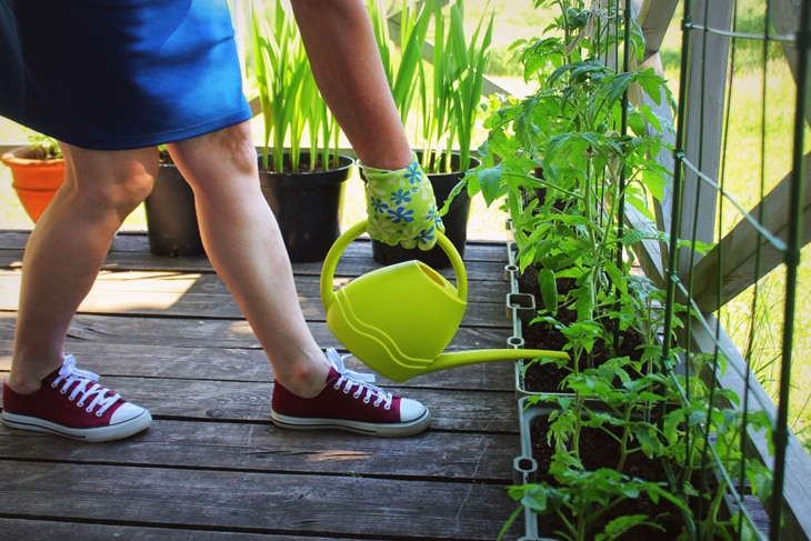 BBVA-ciudadanos-ambientales-sostenibilidad-urbano-regadera-plantas-cuidado-planeta-responsabilidad BBVA-ciudadanos-ambientales-sostenibilidad-urbano-regadera-plantas-cuidado-planeta-responsabilidad
