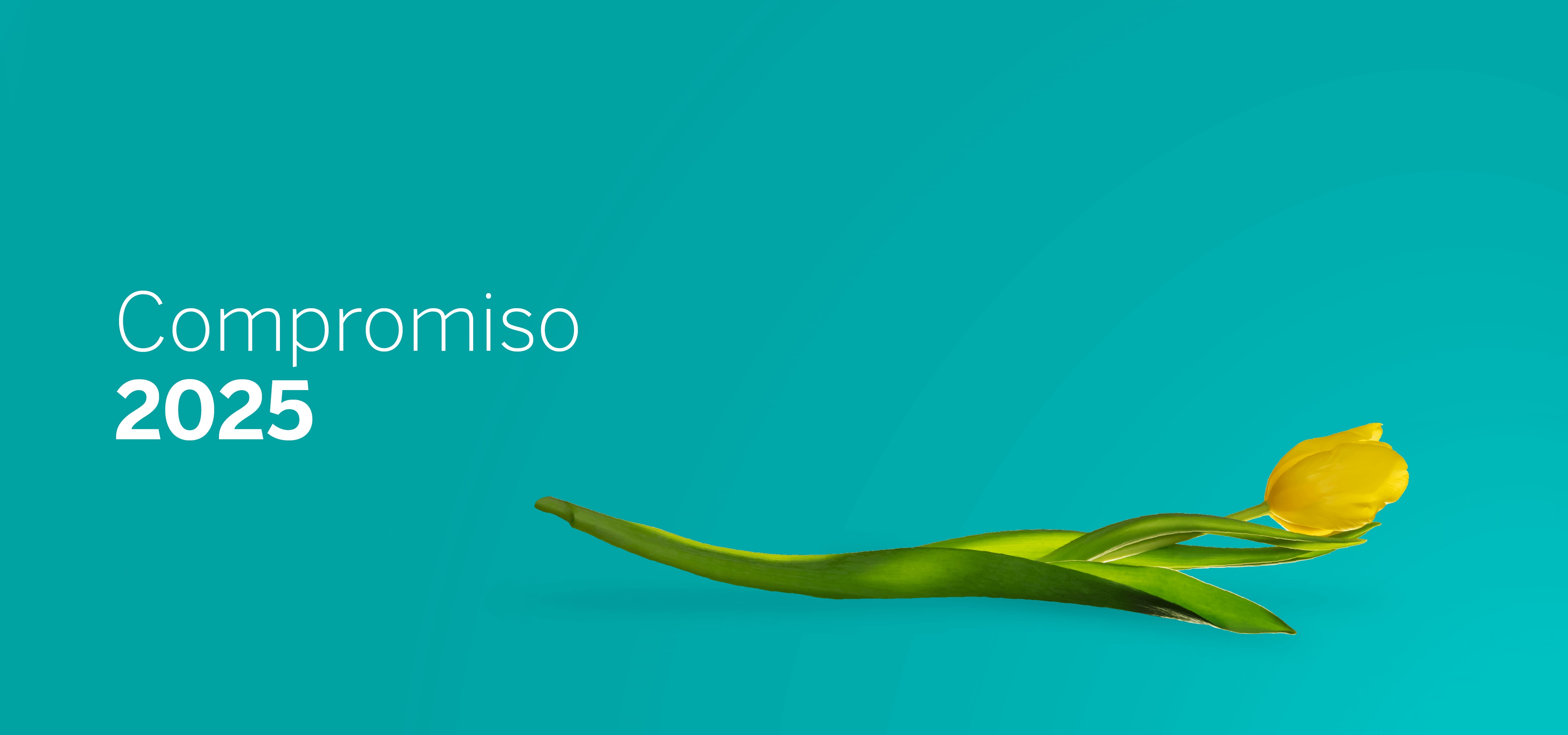 Cintillos__sostenibilidad_bbva_Compromiso 2025 Cintillos__sostenibilidad_bbva_Compromiso 2025