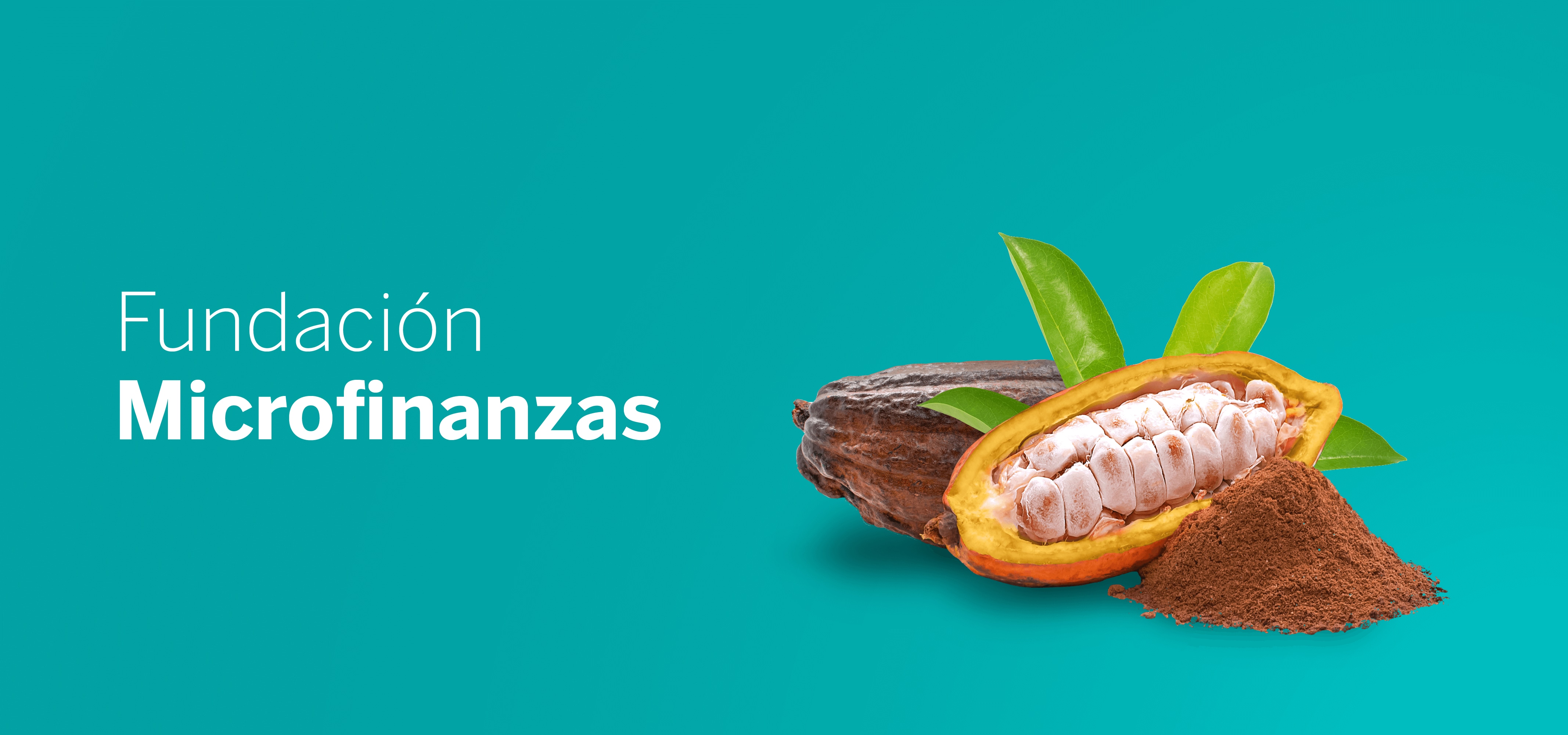 Cintillos__sostenibilidad_bbva_Fundacion microfinanzas Cintillos__sostenibilidad_bbva_Fundacion microfinanzas