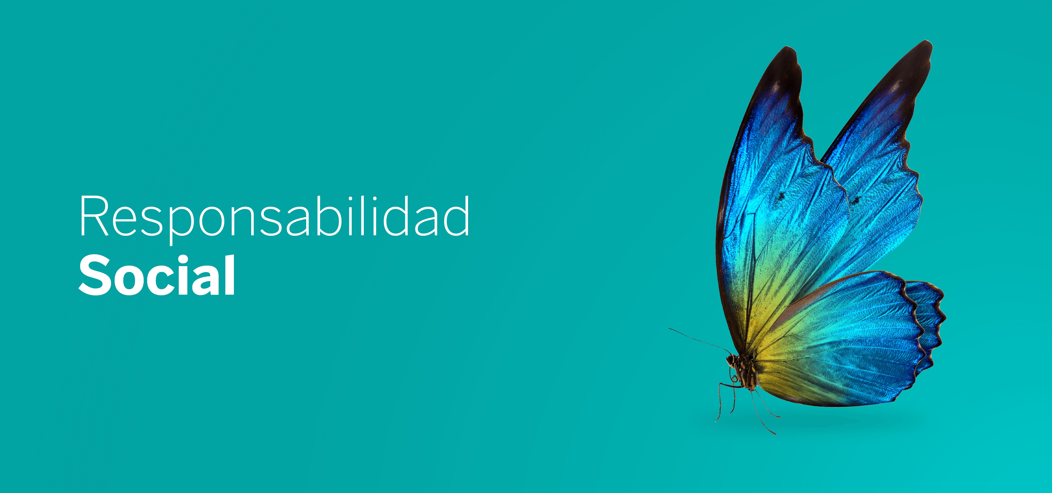 Cintillos_sostenibilidad_bbva_Responsabilidad social Cintillos_sostenibilidad_bbva_Responsabilidad social