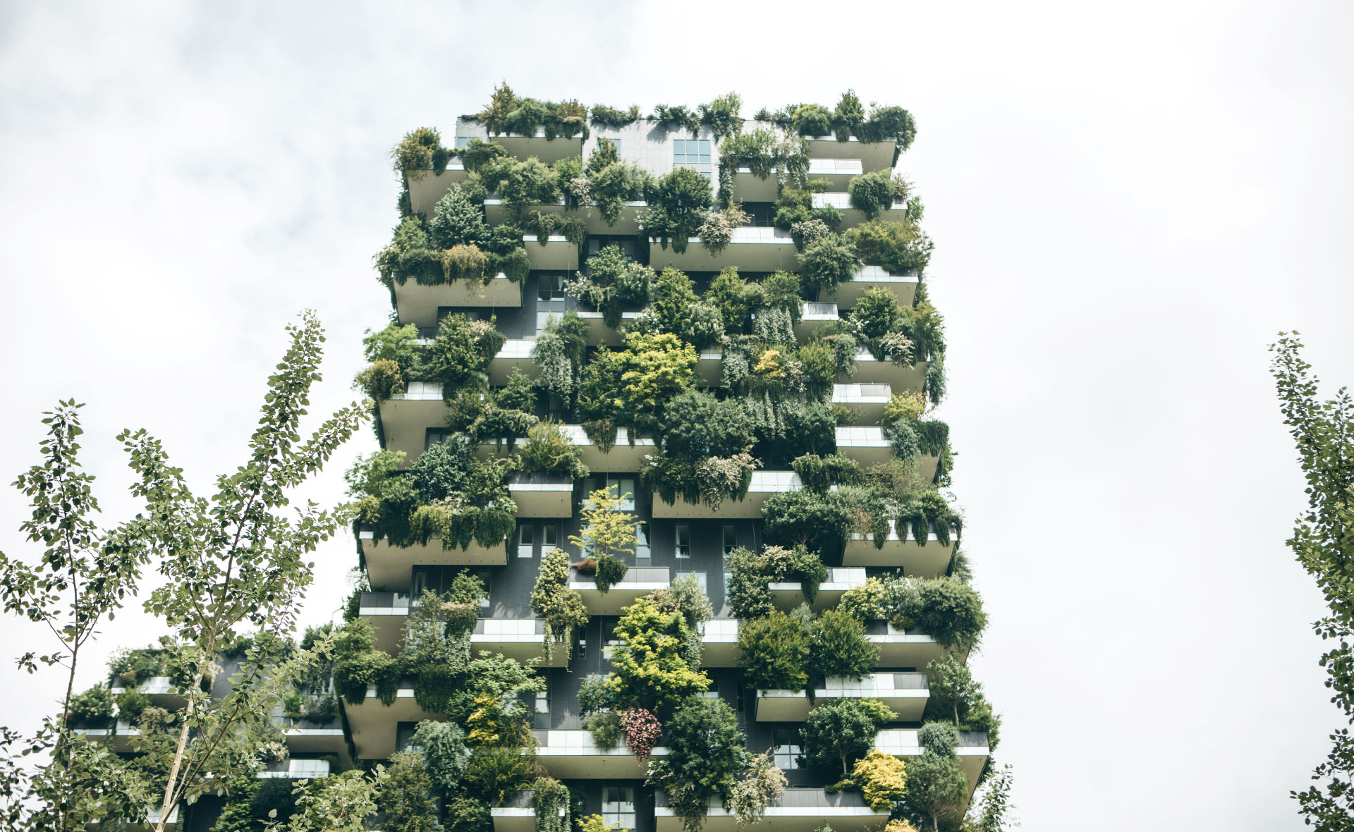casas-ecológicas-hogares-inmobiliario-sostenible