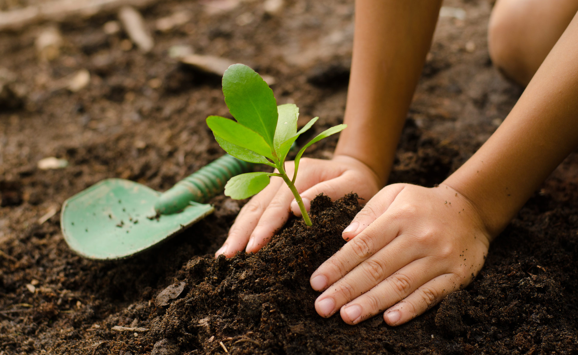compost-desechos-basura-hogares-reciclaje-residuos-abono-descomposicion- compost-desechos-basura-hogares-reciclaje-residuos-abono-descomposicion-