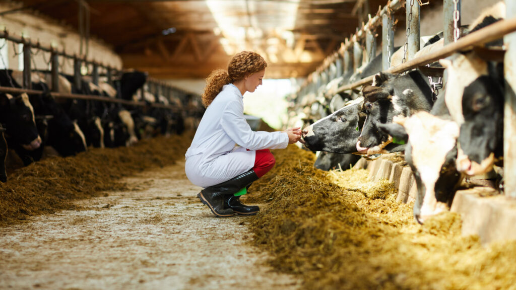 ganaderia-intensiva-sostenibilidad-huella-carbono ganaderia-intensiva-sostenibilidad-huella-carbono