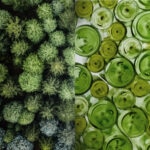 producto_sostenible-bbva-coberturas-sostenibilidad-vidrio-naturaleza producto_sostenible-bbva-coberturas-sostenibilidad