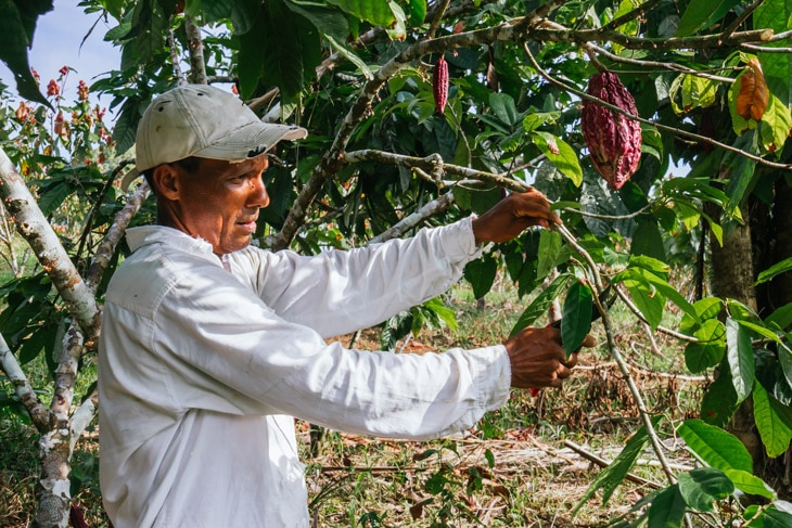 BBVA-pobreza-desigualdad-America-latina-alimentacion-mundial-cultivo-campo BBVA-pobreza-desigualdad-America-latina-alimentacion-mundial-cultivo-campo