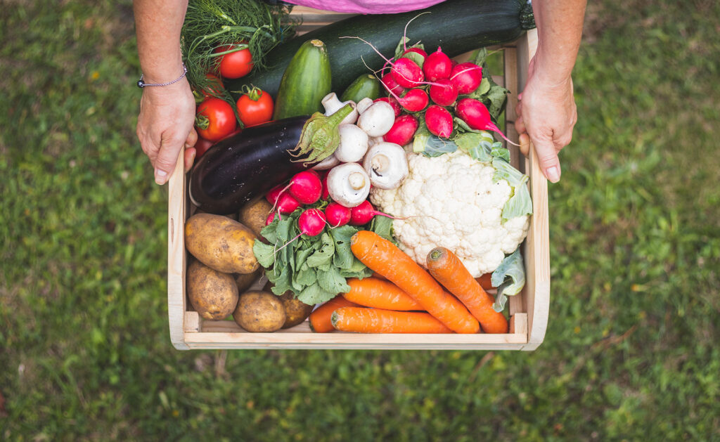BBVA-comida-proximidad-apertura-alimentos-sostenibles-renovables-productos BBVA-comida-proximidad-apertura-alimentos-sostenibles-renovables-productos