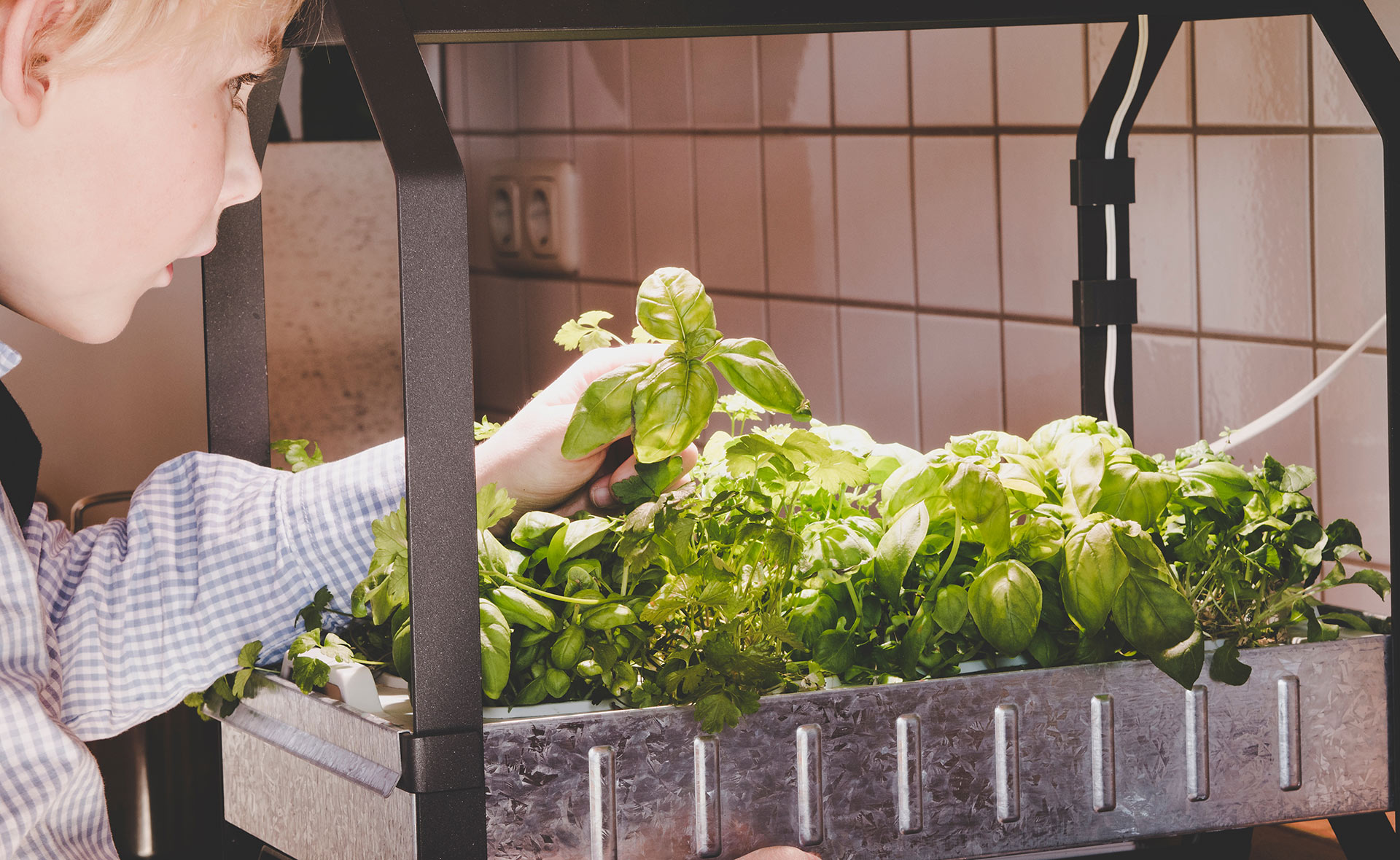 BBVA-hidroponia-apertura-cultivo-huerto-ecologico-sostenibilidad-plantacion-verduras-renovable-alimentos-sanos