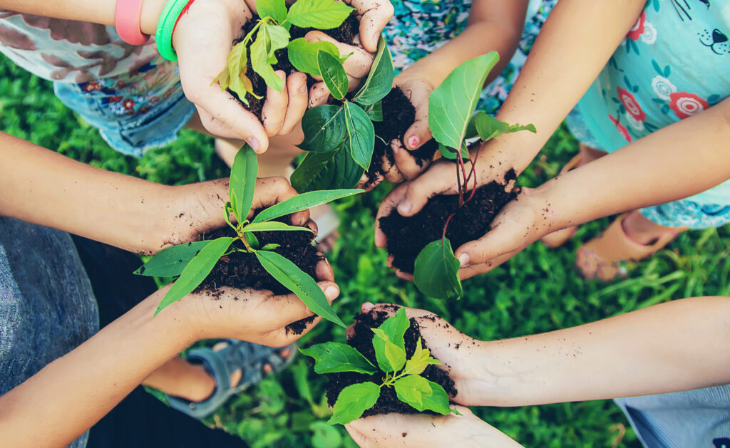 BBVA-pacto-verde-desarrollo-sostenibilidad-planeta-cuidado-medioambiente BBVA-pacto-verde-desarrollo-sostenibilidad-planeta-cuidado-medioambiente