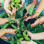 BBVA-pacto-verde-desarrollo-sostenibilidad-planeta-cuidado-medioambiente