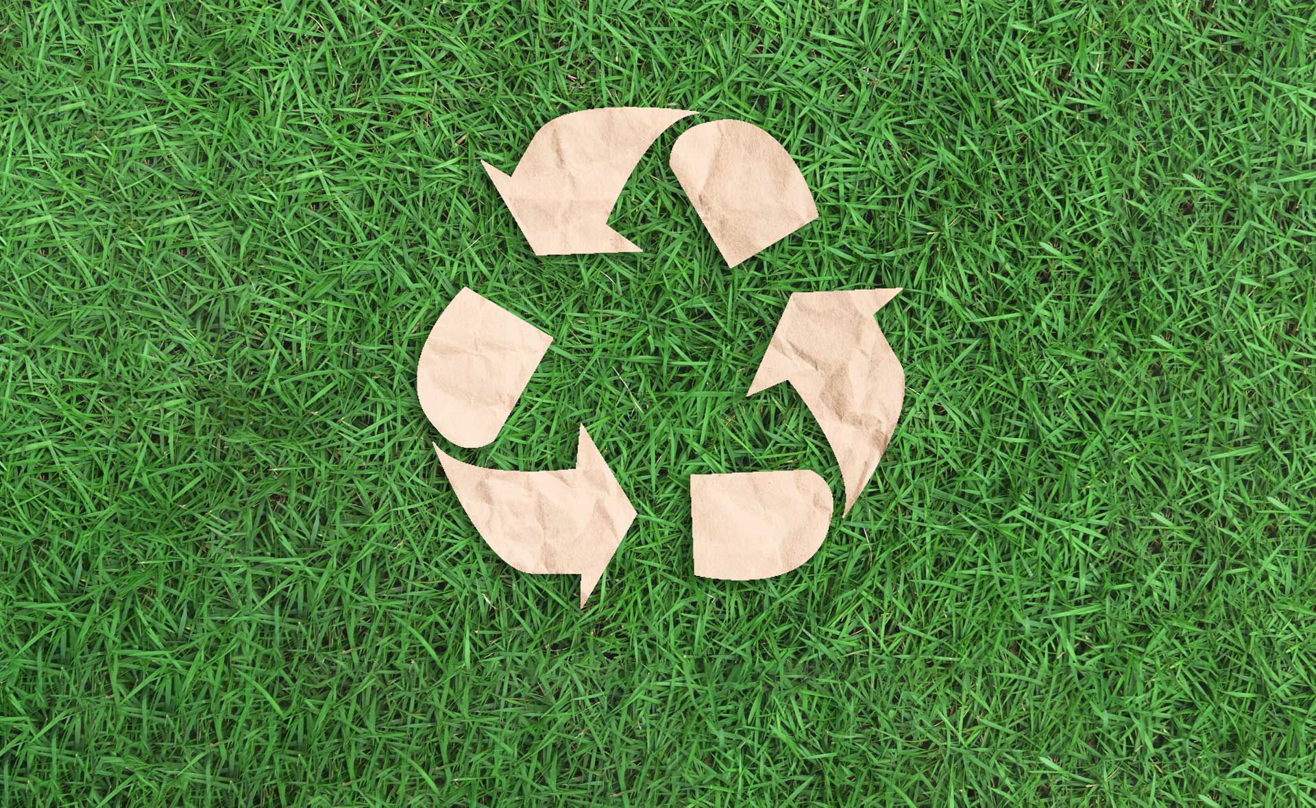Cómo reciclar el papel para usarlo nuevamente y cuidar el medioambiente Cómo reciclar el papel para usarlo nuevamente y cuidar el medioambiente