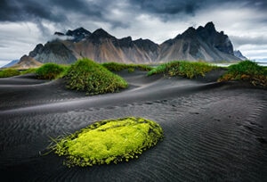 Islandia-energia-limpia-cuidado-pais-campo-naturaleza-medioambiente-arboles-