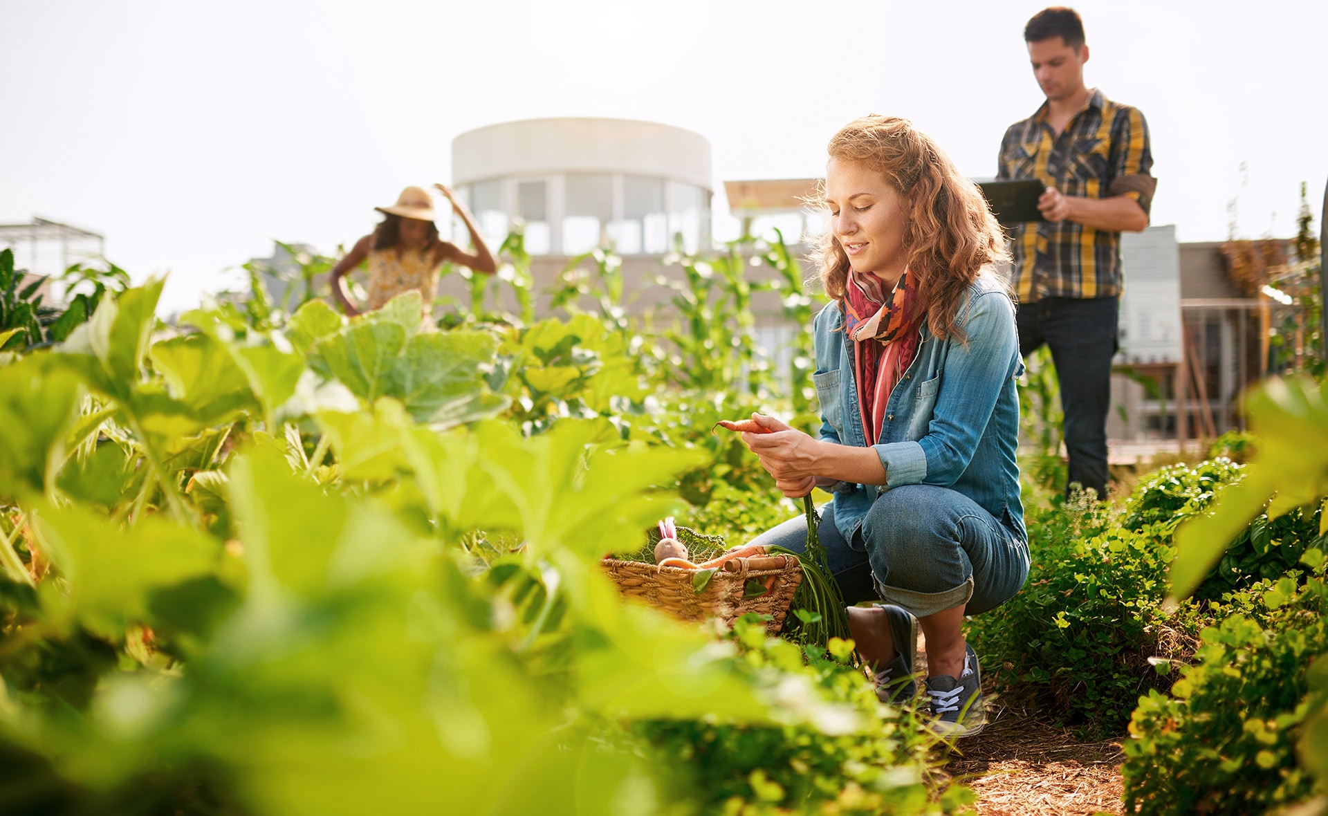 PRODUCTORES_SOSTENIBLES_PREMIO-SOSTENIBILIDAD-campo-naturaleza-huerto