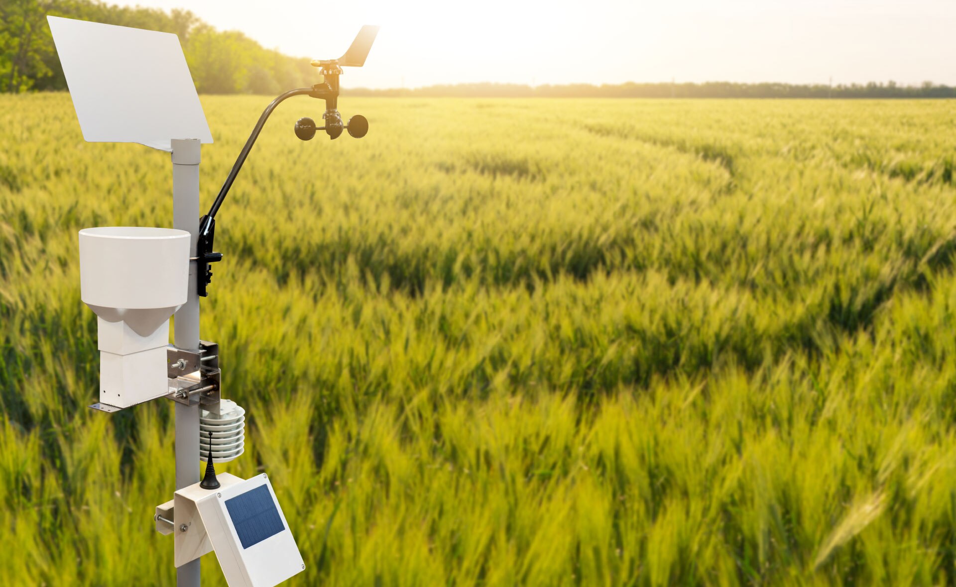 agricultura_precisión_campo-sostenibilidad-naturaleza-plantaciones-cultivos-