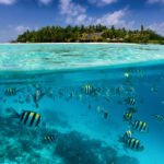 biodiversidad-podcast-conservacion-proteccion-medioambiente-planeta-cuidado-mar-peces-oceano-playa-turismo-viaje-