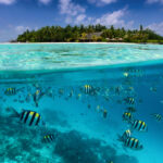 biodiversidad-podcast-conservacion-proteccion-medioambiente-planeta-cuidado-mar-peces-oceano-playa-turismo-viaje- biodiversidad-podcast-conservacion-proteccion-medioambiente-planeta-cuidado-mar-peces-oceano-playa-turismo-viaje-