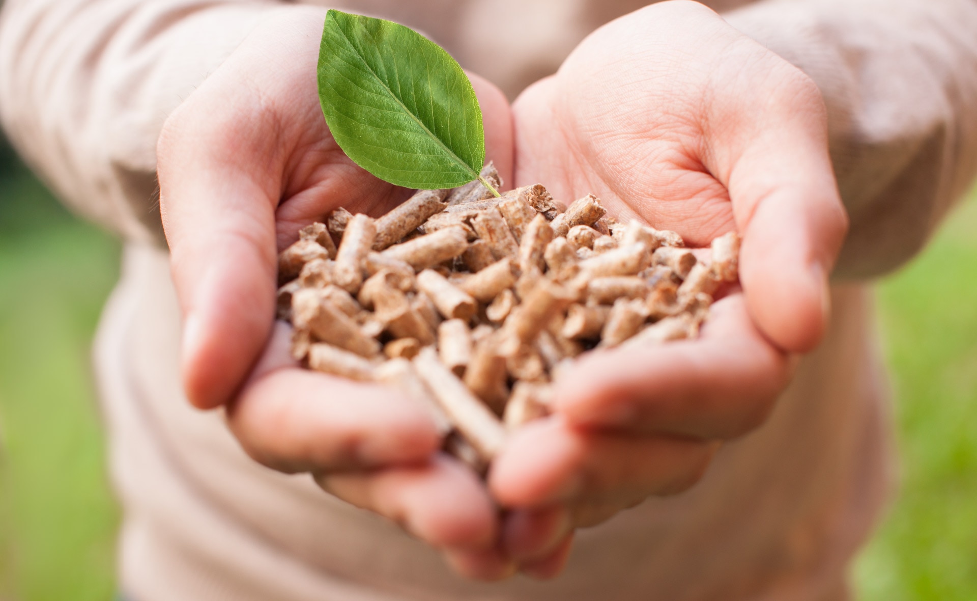energía-renovable-sostenible-cuidado-ahorro-negocio