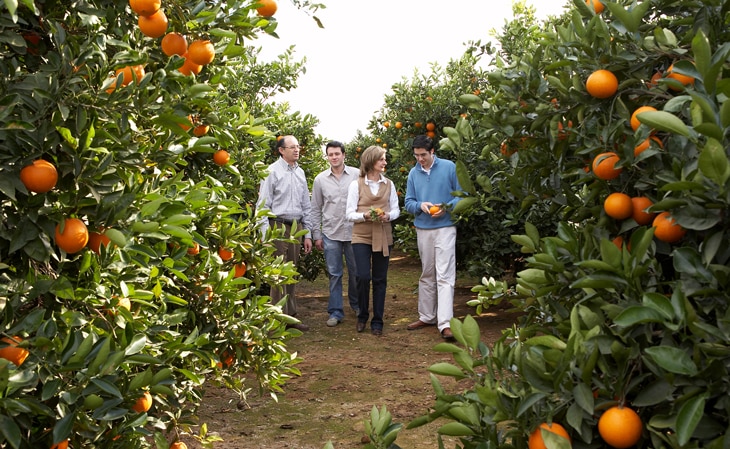 familia-naranjas-lola-bbva-celler-can-roca-productores