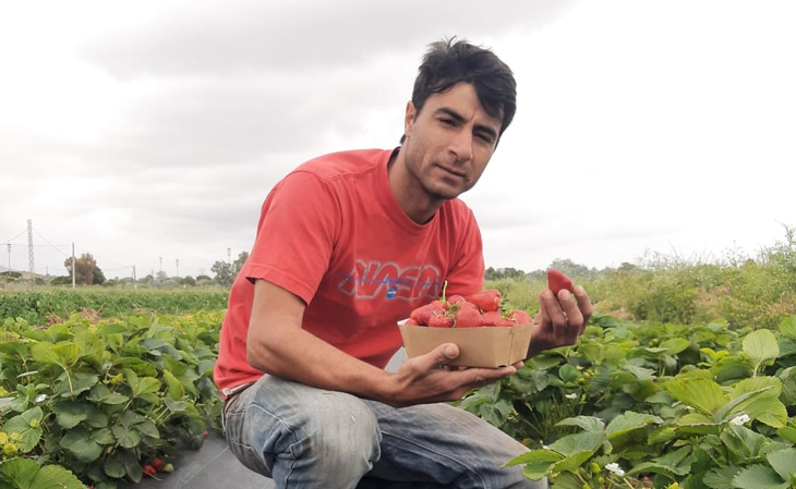 fresas-pau-santamaria-bbva-celler-can-roca-productores fresas-pau-santamaria-bbva-celler-can-roca-productores