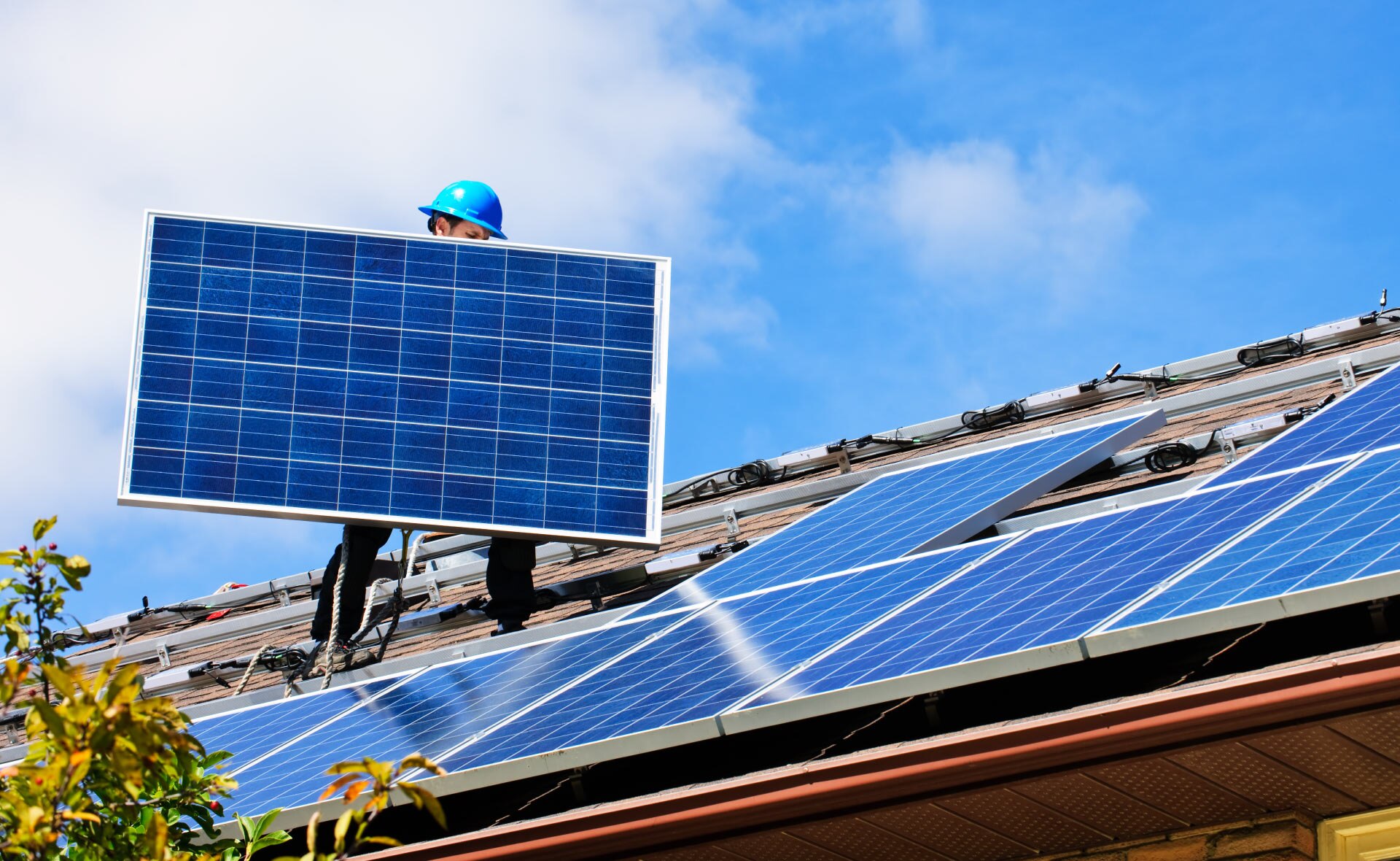 paneles_solares_sostenibilidad_energia_solar_bbva paneles_solares_sostenibilidad_energia_solar_bbva