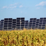 placas_solares-creacion-ventajas-sol-energia-domicilios-