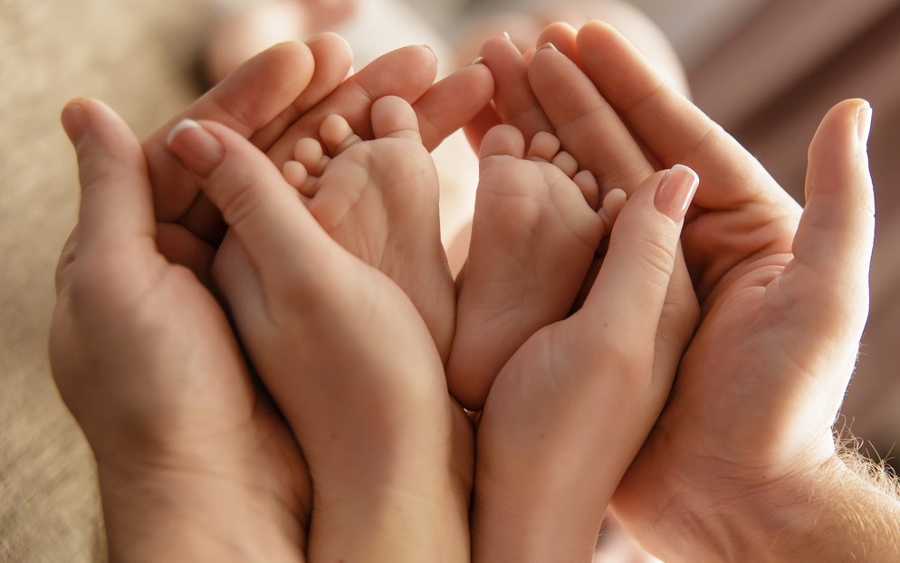 Licencia parental maternal Licencia parental maternal