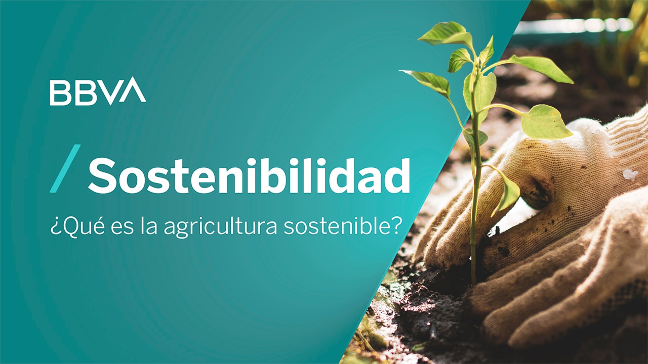 Maneras De Apoyar La Agricultura Sostenible El Reto Una Agricultura