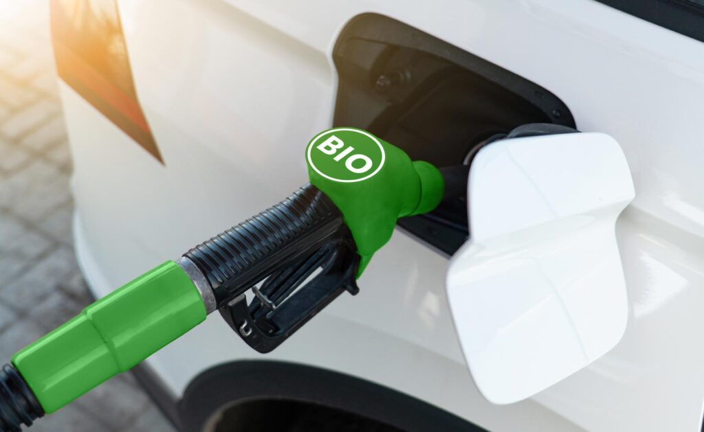 BBVA-biocombustibles-energia-sostenibilidad-responsabilidad-renovable BBVA-biocombustibles-energia-sostenibilidad-responsabilidad-renovable