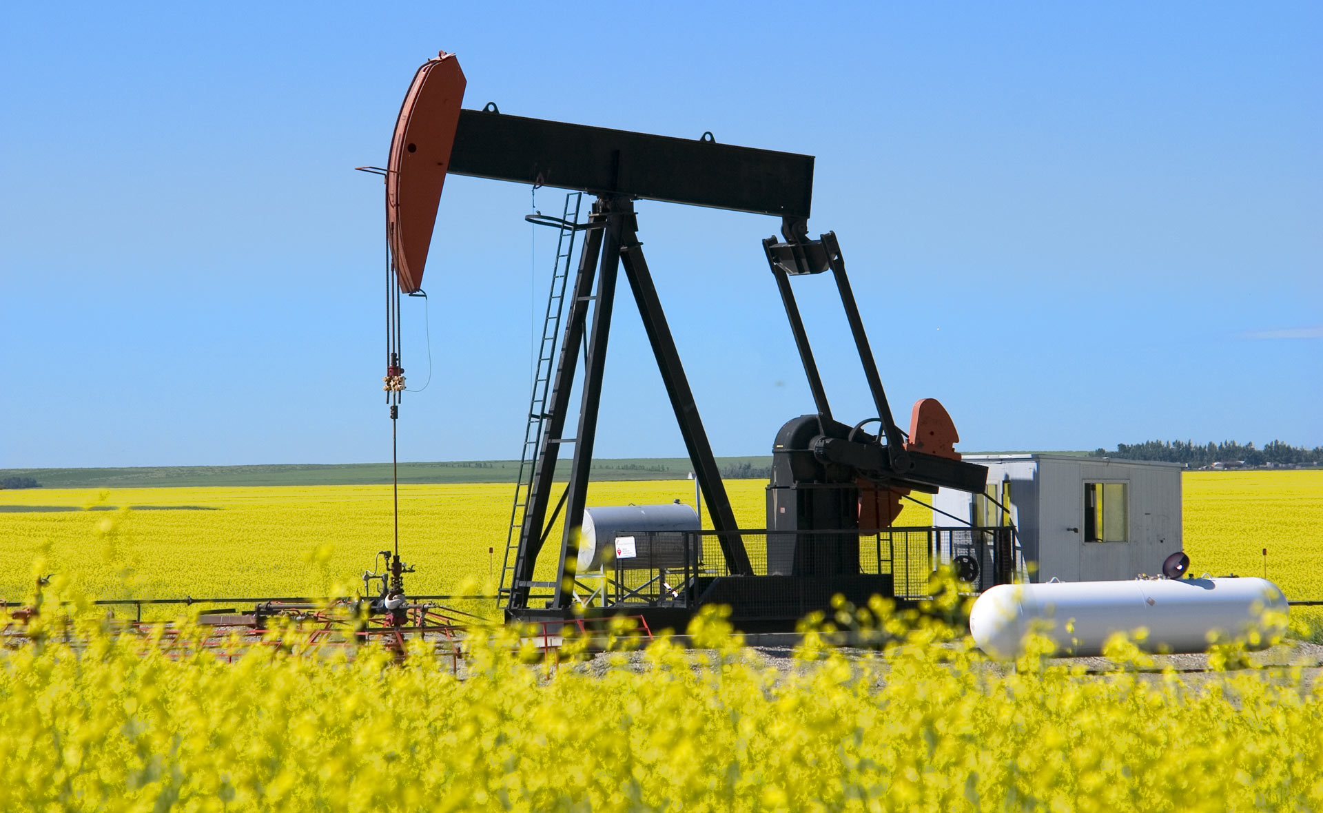 BBVA-biocombustibles-sostenibilidad-renivables-energia-petroleo-medioambiente