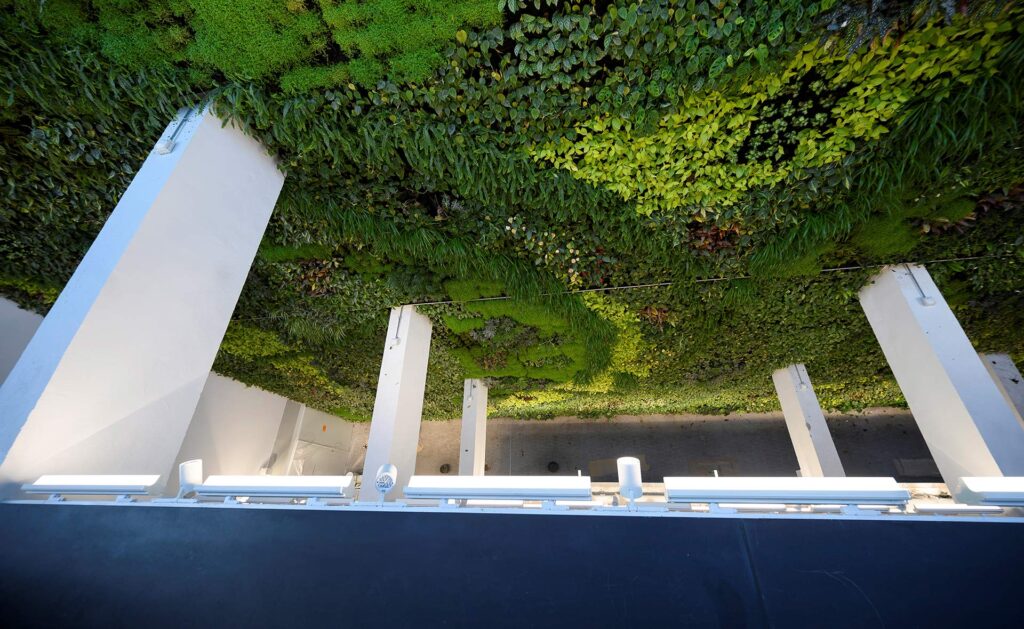 EFE-BBVA-certificado-HQE-sostenibilidad-titulacion-medioambiental-cuidado-planeta EFE-BBVA-certificado-HQE-sostenibilidad-titulacion-medioambiental-cuidado-planeta