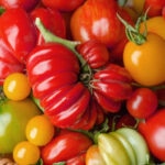 BBVA-cultivo-tomates-huerto-gastronomia-alimentos-sostenibilidad-cuidado-