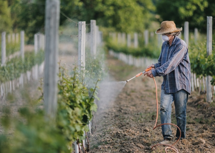BBVA-horticultura-sostenibilidad-agricultura-alimentacion BBVA-horticultura-sostenibilidad-agricultura-alimentacion