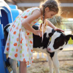 BBVA-ordeño-robotizado-vaca-alimentacion-sostenible-metodologia-renovable-cuidado-proteccion-animales