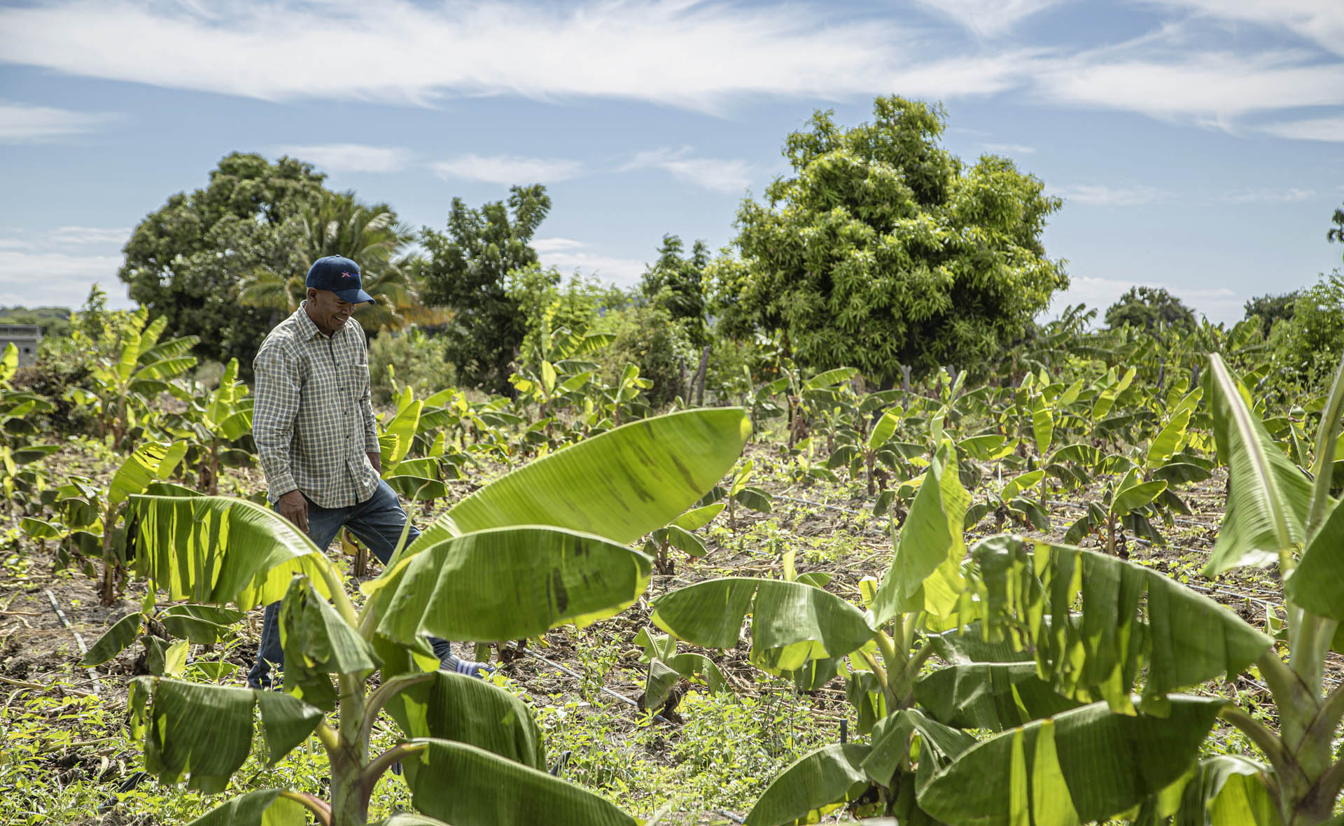 Geudis Tejeda, agricultor Rep Dominicana FMBBVA