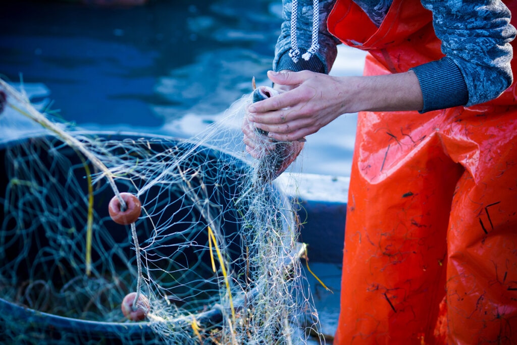 Qué es la pesca sostenible y por qué apostar por ella?