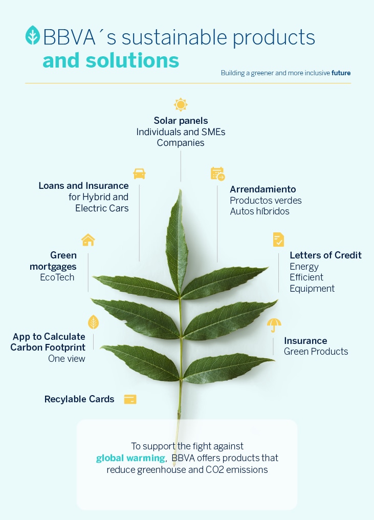 Products-solutions-green-BBVA Products-solutions-green-BBVA