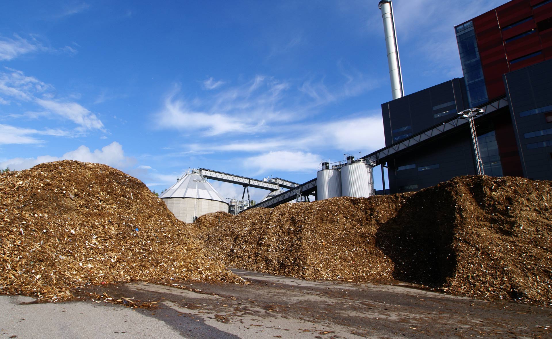 biomasa-materia-energia-renovable-basura