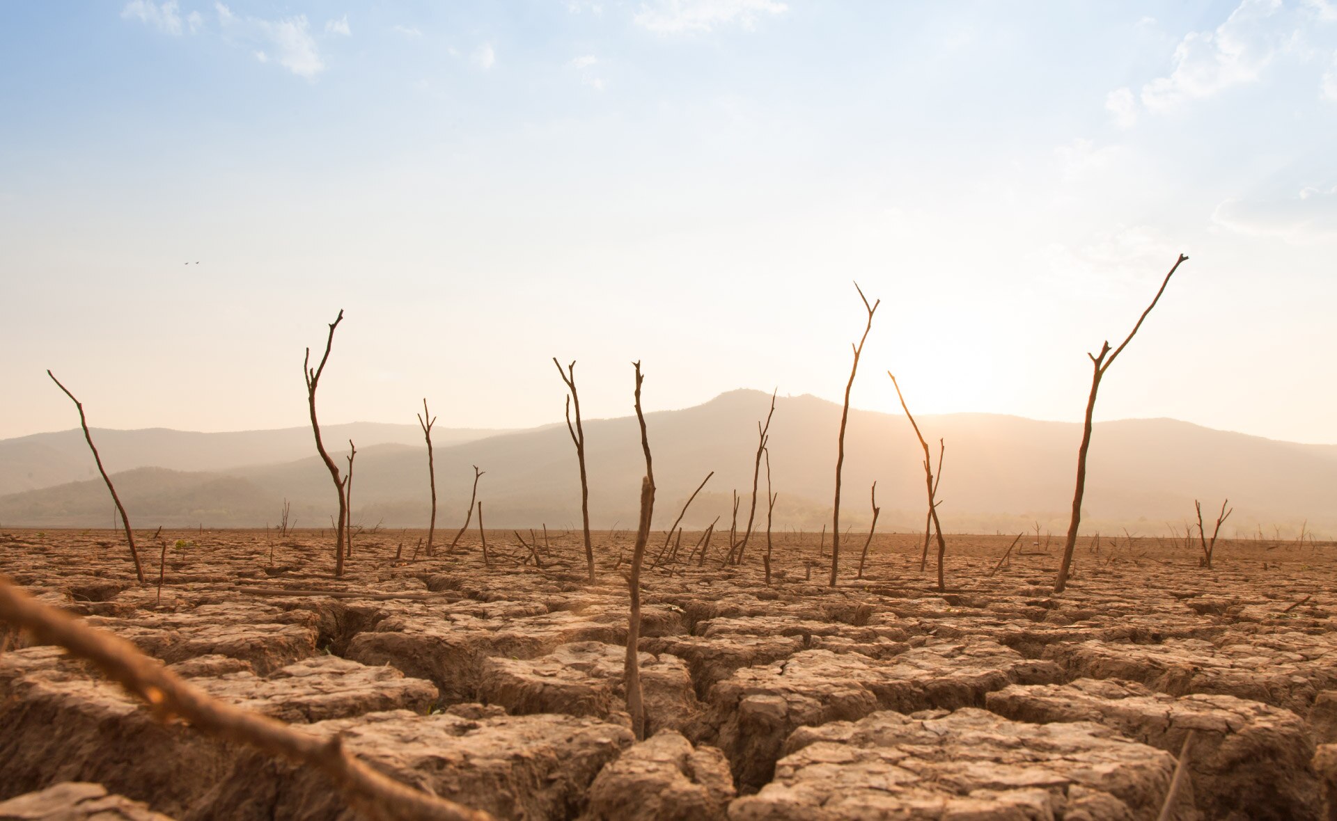 cambio_climático_sostenibilidad
