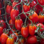 cesta-junio-gastronomia-sostenible-bbva-celler-tomate