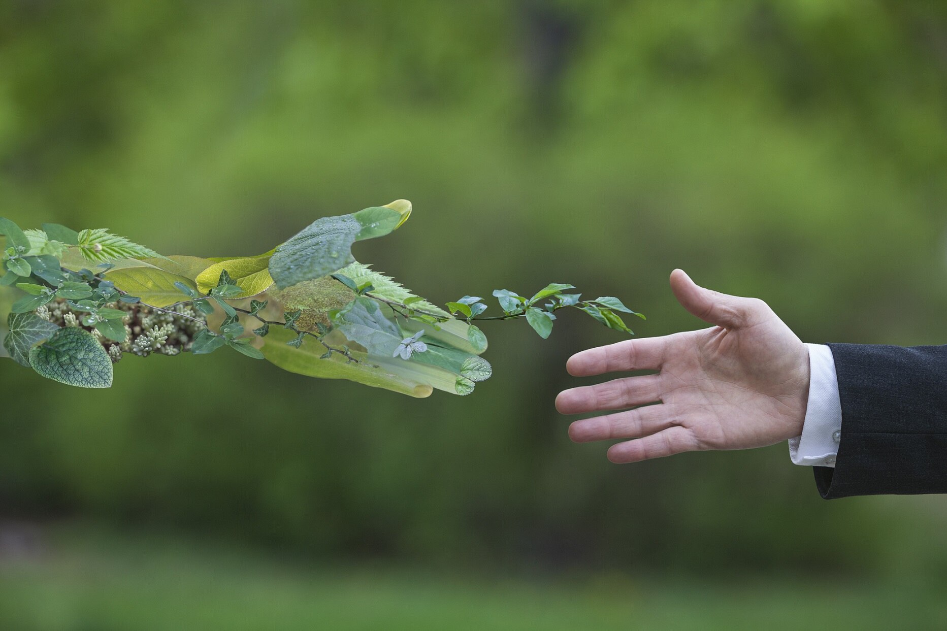 inversiones verdes clientes mayoristas ESG
