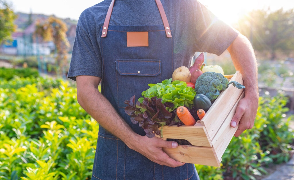 sostenibilidad-BBVA-horticultura-agricultura-alimentacion sostenibilidad-BBVA-horticultura-agricultura-alimentacion