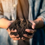 BBVA-HUB-Que_es_el_compost_y_cuáles_son_sus_fases-El_poder_del-suelo_vivo-APERTURA