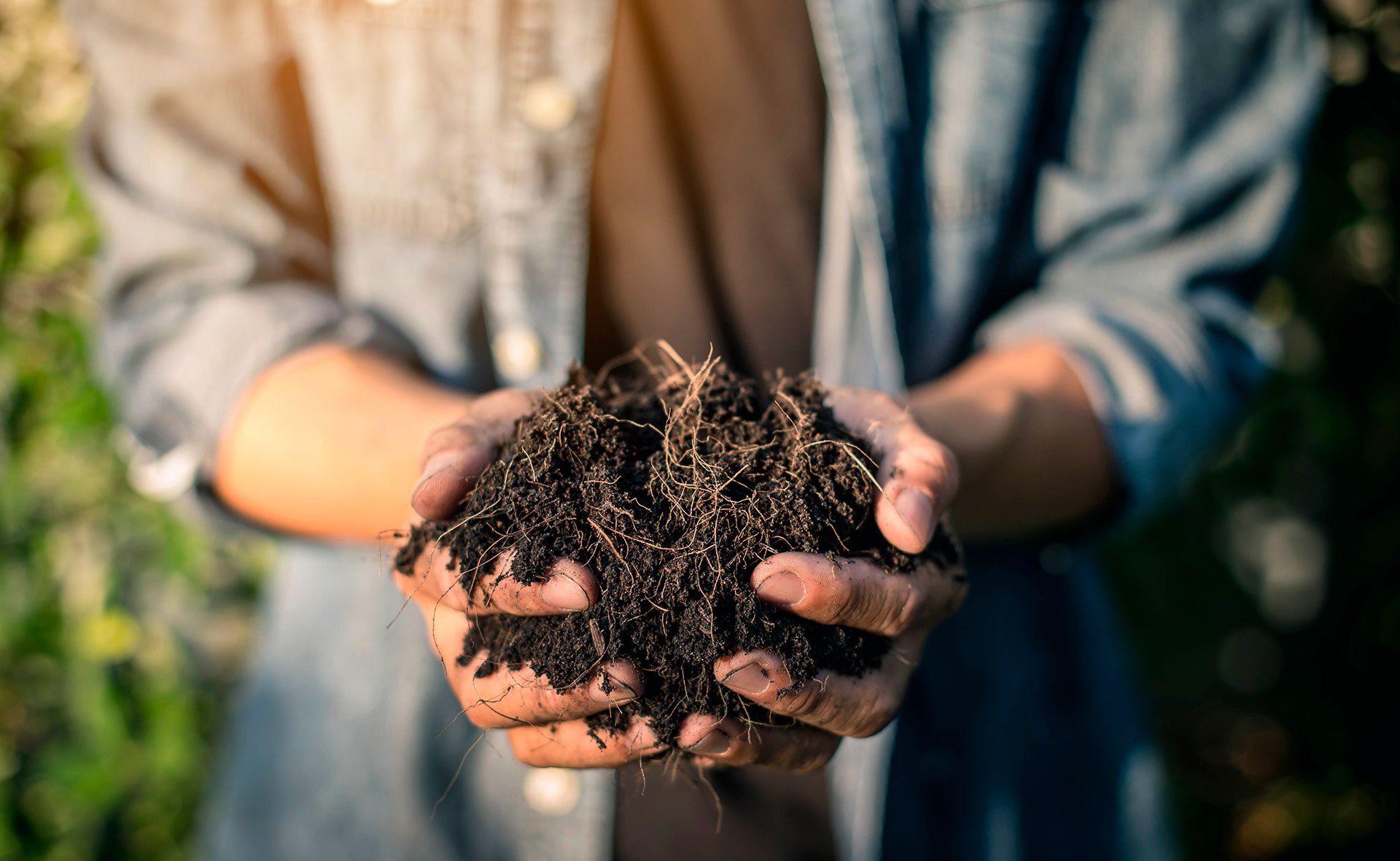 BBVA-HUB-Que_es_el_compost_y_cuáles_son_sus_fases-El_poder_del-suelo_vivo-APERTURA