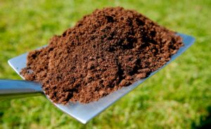 BBVA_compost_fases-poder_suelo_vivo-Fase_de_maduracion