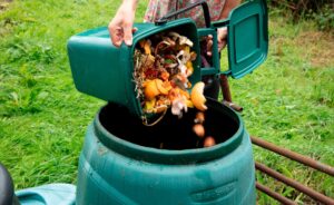 BBVA-pasos_compost_fases-suelo_vivo-Fase_mesofila