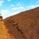 BBVA-tierra-_compost_fases-suelo_vivo-sostenibilidad
