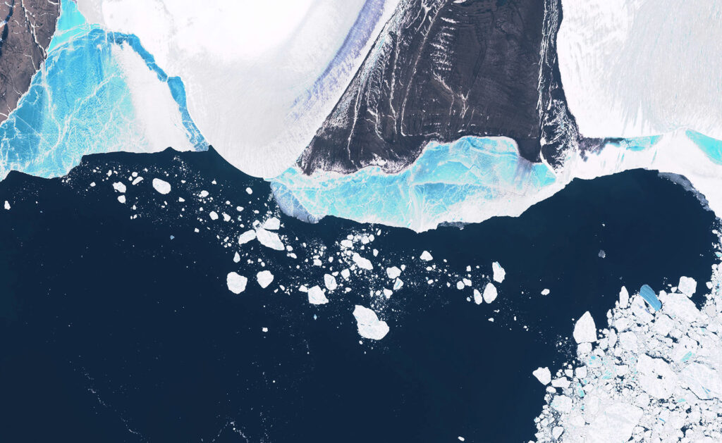 BBVA-cambio-climatico-artico-oso-polar-sostenibilidad-planeta-cuidado-artico