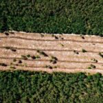 BBVA-deforestacion-sostenibilidad-actividad-humana-campo-naturaleza-destruccion-tierra