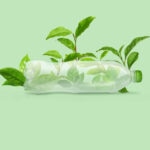 BBVA-innovacion-botella-plastico-reciclaje-futuro-sostenibilidad-productos