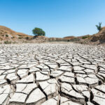 bbva-amenazas-sequedad-tierra-clima-calentamiento-planeta-medioambiente-sostenibilidad
