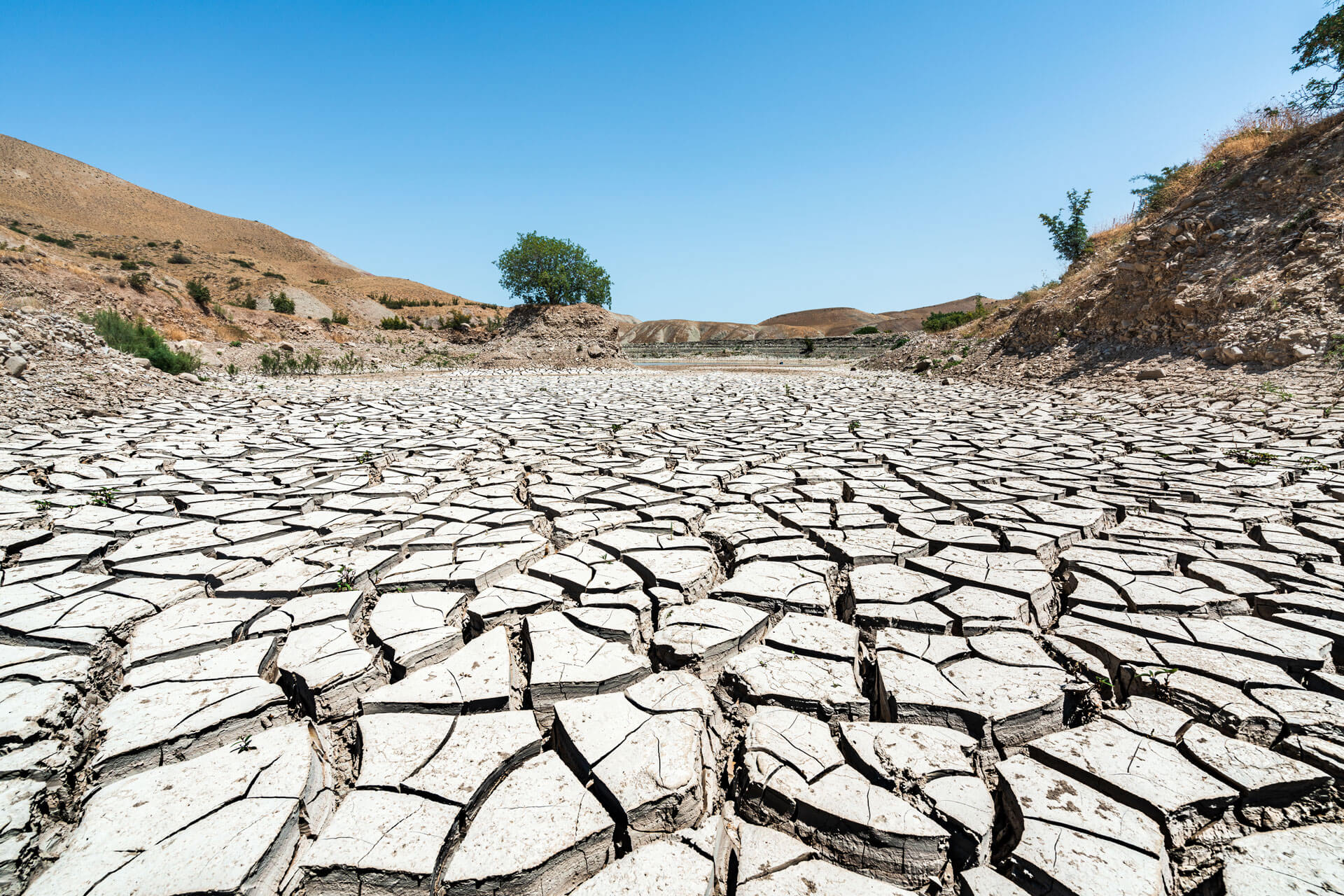 bbva-amenazas-sequedad-tierra-clima-calentamiento-planeta-medioambiente-sostenibilidad bbva-amenazas-sequedad-tierra-clima-calentamiento-planeta-medioambiente-sostenibilidad